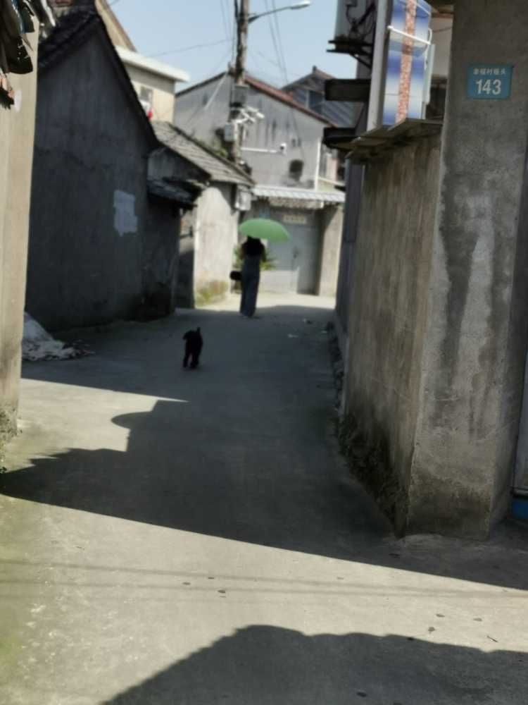 宁波 余姚三七市幸福村站街。三